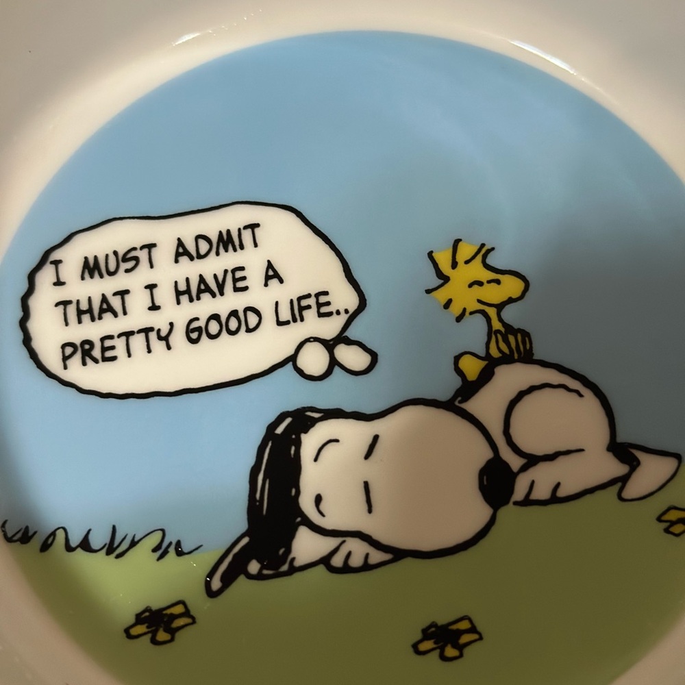 Peanuts Snoopy Pet Bowl collection - Picture 9 of 15